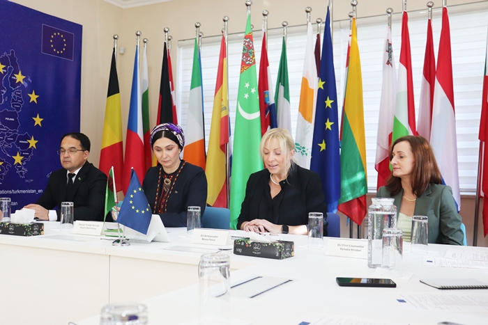 Turkmenistan and the European Union Discuss Cooperation Development